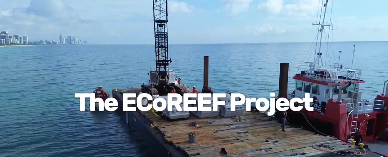 rosenstiel school ecoreef